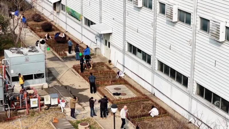 植树节“耕”新绿！阿斯塔导线员工当起“农场主”