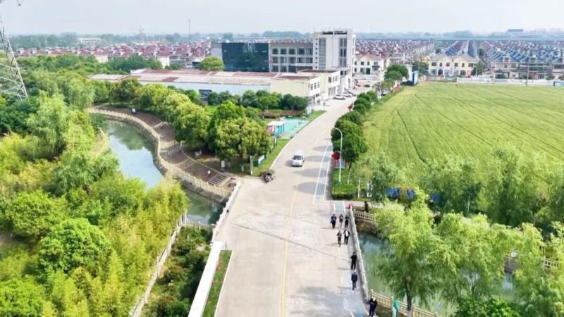农村环境整治在行动 丨宝应经济开发区：户户参与管护 让乡村美景常驻