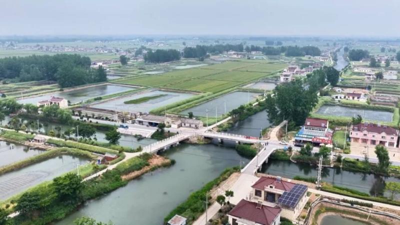 农村环境整治在行动 | 山阳镇：抓实河湖常态管护 守住水乡碧水清波