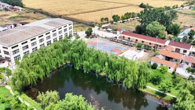 农村人居环境整治在行动 | 雍尹村：巧治“废旧塘” 做活“水文章”